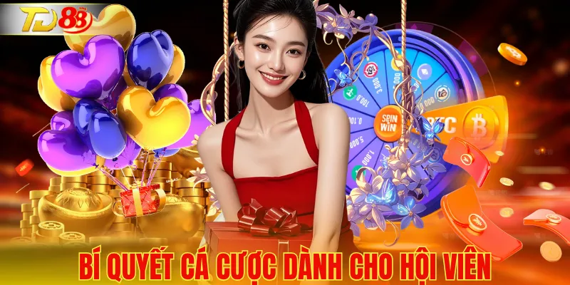 Những bí quyết thiết thực dành cho người mới